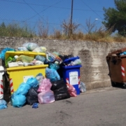 BRINDISI in "CARTOLINA...