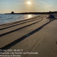BRINDISI : ECOTECNICA � LITORALE PULITO