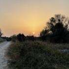 “PRIMA CHE SIA NOTTE” – QUATTRO SERATE DI ARTE AL TRAMONTO IN LUOGHI SEGRETI 