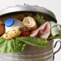 REPORT SPRECHI ALIMENTARI