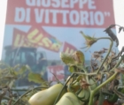"Terra e Libertà"