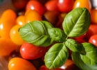 TARANTO : IN PUGLIA IL CIBO E' CULTURA