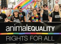  ANIMAL EQUALITY PORTA IN CENTRO A MILANO GLI STRUMENTI DI CRUDELT� LEGALE USATI NEGLI ALLEVAMENTI