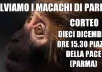  Basta vivisezione: protesta contro la sperimentazione animale nella Giornata Mondiale dei Diritti Umani e Animali