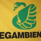 LEGAMBIENTE. Considerazioni sullo SNIM