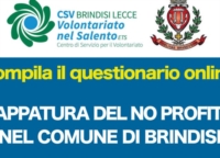  �Mappatura del No-Profit nel Comune di Brindisi�