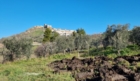 PUGLIA-FARM : RIVOLUZIONE VERDE