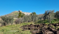 PUGLIA-FARM : RIVOLUZIONE VERDE