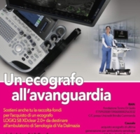 FONDAZIONE DI GIULIO : RACCOLTA FONDI