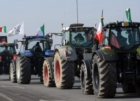 Proteste agricoltori: Confedercontribuenti, Lollobrigida si dimetta