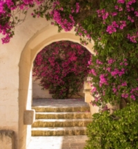  LA PRIMAVERA A BORGO EGNAZIA, TRADIZIONE E ARTIGIANALITA�