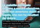  GIORNATA MONDIALE FEGATO :  IRCCS DE BELLIS LANCIA CAMPAGNA DI PREVENZIONE