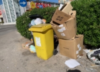 BRINDISI : SIT IN TEOREMA
