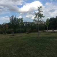 BRINDISI : IL PARCO CASA TUA