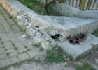  IL PARCO È CASA TUA