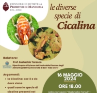 Le diverse specie di cicalina