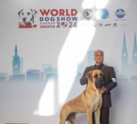 Cane alano brindisino eletto Giovane Campione del Mondo