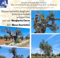 Disseccamento degli ulivi. Scienza e nuove prospettive