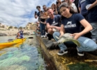 PLASTIC FREE :  TARTARUGA SALVATA NUMERO 200