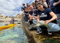 PLASTIC FREE :  TARTARUGA SALVATA NUMERO 200