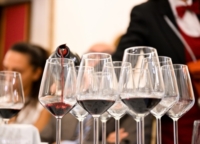 PRIMITIVO DI MANDURIA : EVENTI INTERNAZIONALI