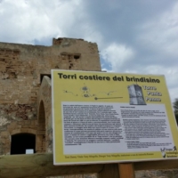 Gruppo Archeo Brindisi dona Pannello Punta Penne