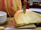 CONSORZIO TUTELA PROVOLONE VALPADANA : BANDO DI GARA