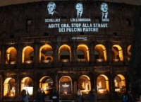 APPELLO ANIMAL EQUALITY  CONTRO UCCISIONE ATROCE DEI PULCINI MASCHI