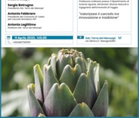 GAL TERRA DEI MESSAPI : IL CARCIOFO COLTURA ANTICA