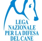 CORATO : IMPEDIRE LA SAGRA DELLA CARNE DI CAVALLO