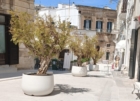 OSTUNI : RIQUALIFICAZIONE CENTRO STORICO