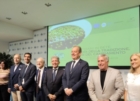 AIFO : RILANCIO FRANTOI CUORE PULSANTE DELLA FILIERA OLIVICOLA