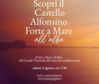 BRINDISI : ALBA AL CASTELLO ALFONSINO FORTE A MARE