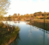 BRINDISI : LEGAMBIENTE SU GESTIONE PATRIMONIO NATURALISTICO