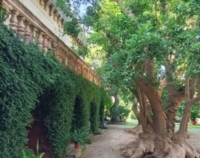 CAROVIGNO : CASTELLO : STORIE E MISTERI