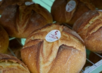 BRINDISI : OROPAN IN AEREOPORTO