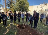 OSTUNI : HORTUS : HIBAKUJUMOKU DI HIROCHIMA PIANTATO NELLA VILLA PERTINI 
