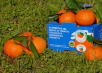 TARANTO : LE CLEMENTINE IGP NEL VIAGGIO NELLE ECCELLENZE