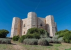 PUGLIA : MUSEI : LUOGHI DELLA CULTURA : NUMERI ECCEZIONALI