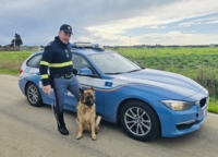 BRINDISI : POLIZIOTTO SALVA UN CANE VAGANTE E LO RESTITUISCE ALLA PROPRIETARIA