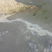 Sabato 4 ottobre a torre guaceto manifestazione