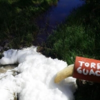 SABATO 4 OTTOBRE, ORE 15 - MANIFESTAZIONE DI PROTESTA IN DIFESA DI TORRE GUACETO