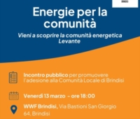 BRINDISI : COMUNITA' ENERGETICA LEVANTE : INCONTRO