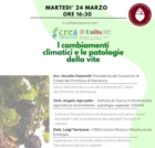 MANDURIA : CAMBIAMENTI CLIMATICI E PATOLOGIE DELLA VITE