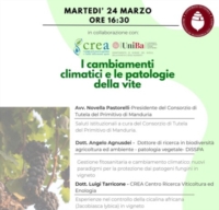 MANDURIA : CAMBIAMENTI CLIMATICI E PATOLOGIE DELLA VITE