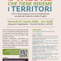 BRINDISI LECCE : CSV E TERZO SETTORE : INCONTRO STRATEGICO