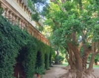 CAROVIGNO ; CASTELLO : APERTURE STRAORDINARIE