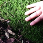 INAUGURAZIONE DEL "TAVOLO PER L'EDUCAZIONE AMBIENTALE