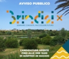 BRINDISI : AVVISO PUBBLICO PLAY BRINDISI