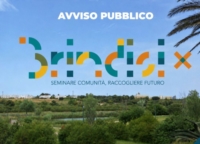 BRINDISI : NASCE PLAY BRINDISI